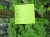 Thumbnail IMG_2918.JPG 