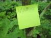 Thumbnail IMG_2919.JPG 