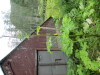 Thumbnail IMG_2928.JPG 
