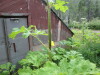 Thumbnail IMG_2931.JPG 