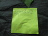Thumbnail IMG_3544.JPG 