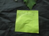 Thumbnail IMG_3545.JPG 