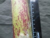 Thumbnail IMG_3558.JPG 