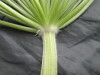 Thumbnail IMG_3569.JPG 