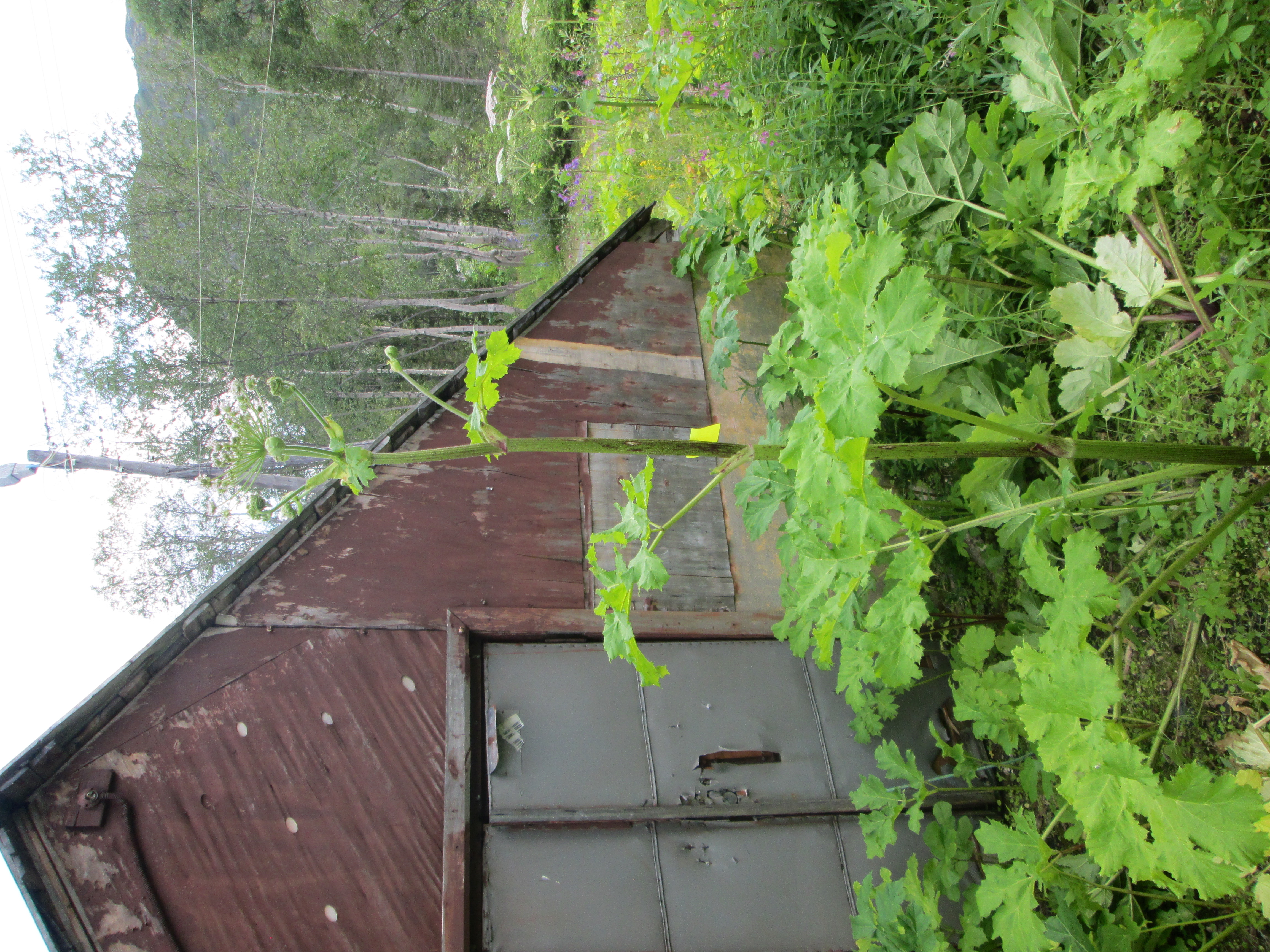 IMG_2928.JPG 