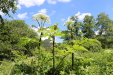 Thumbnail 01.JPG 