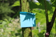 Thumbnail 03.JPG 