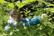 Thumbnail 05.JPG 