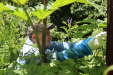 Thumbnail 06.JPG 