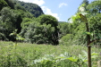 Thumbnail 07.JPG 