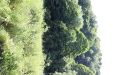 Thumbnail 08.JPG 