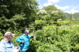 Thumbnail 11.JPG 