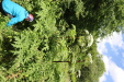 Thumbnail 18.JPG 
