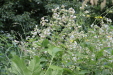 Thumbnail 19.JPG 