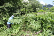 Thumbnail 22.JPG 