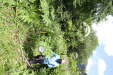 Thumbnail 24.JPG 