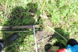Thumbnail 37.JPG 