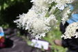 Thumbnail 45.JPG 