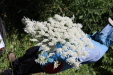 Thumbnail 48.JPG 