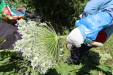 Thumbnail 49.JPG 