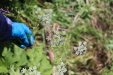 Thumbnail 60.JPG 