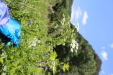 Thumbnail 62.JPG 