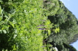 Thumbnail 63.JPG 