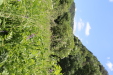 Thumbnail 64.JPG 