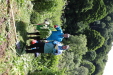 Thumbnail 67.JPG 