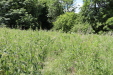 Thumbnail 78.JPG 