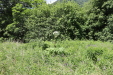 Thumbnail 79.JPG 