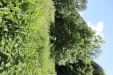 Thumbnail 80.JPG 