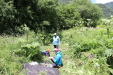 Thumbnail 82.JPG 