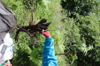 Thumbnail 85.JPG 