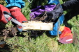 Thumbnail 90.JPG 