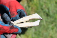 Thumbnail 97.JPG 