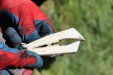 Thumbnail 98.JPG 