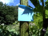 Thumbnail DSC00753.jpg 
