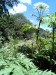 Thumbnail DSC00758.jpg 