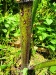 Thumbnail IMG20220704111655.jpg 
