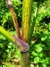 Thumbnail IMG20220704111658.jpg 