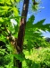 Thumbnail IMG20220704111713.jpg 