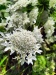 Thumbnail IMG20220704112749.jpg 