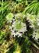 Thumbnail IMG20220704112759.jpg 