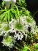 Thumbnail IMG20220704112803.jpg 