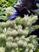 Thumbnail IMG20220704112807.jpg 