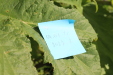 Thumbnail 104.JPG 