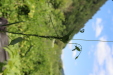 Thumbnail 124.JPG 