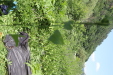 Thumbnail 125.JPG 