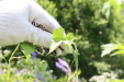 Thumbnail 126.JPG 